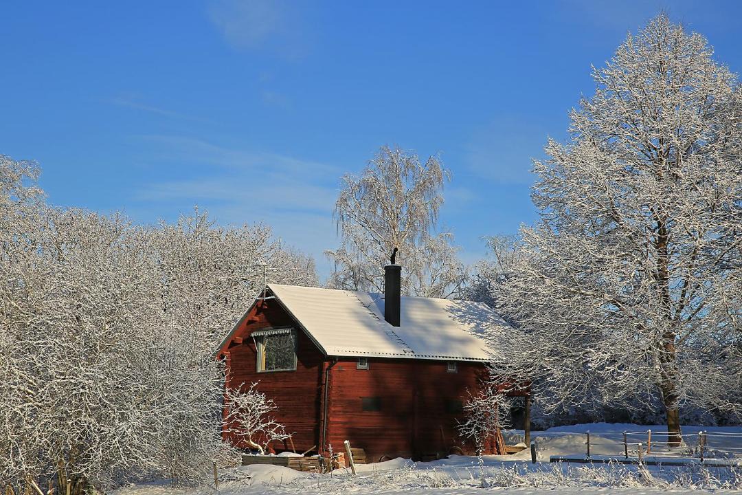 Photo of Others in Falun