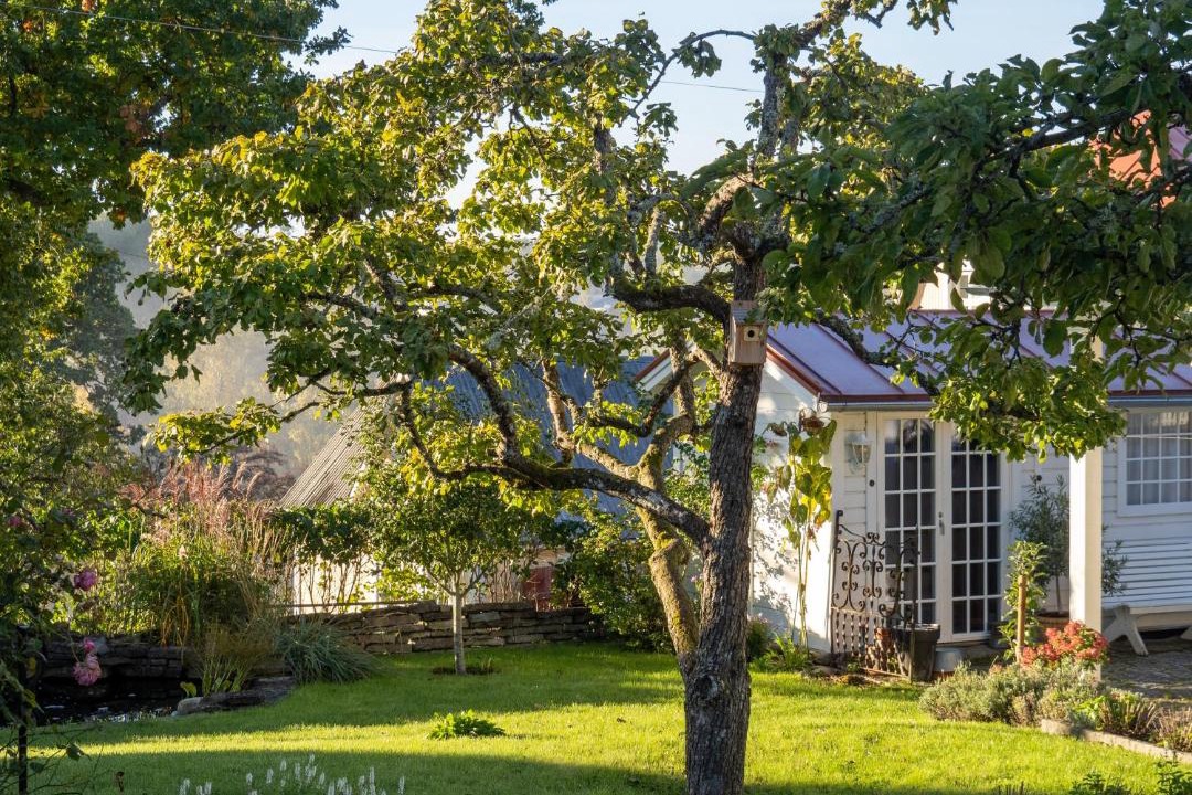 Photo of Others in Borensberg