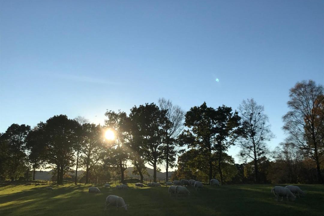 Photo of Others in Bjerkreim