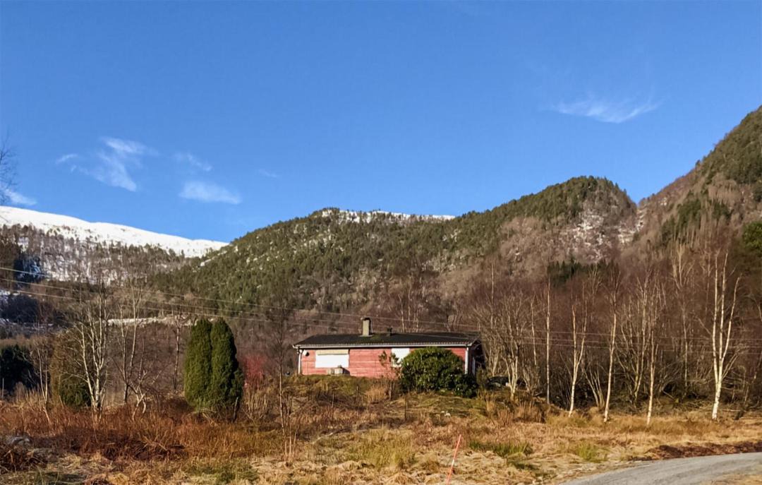 Photo of Others in Hoyanger