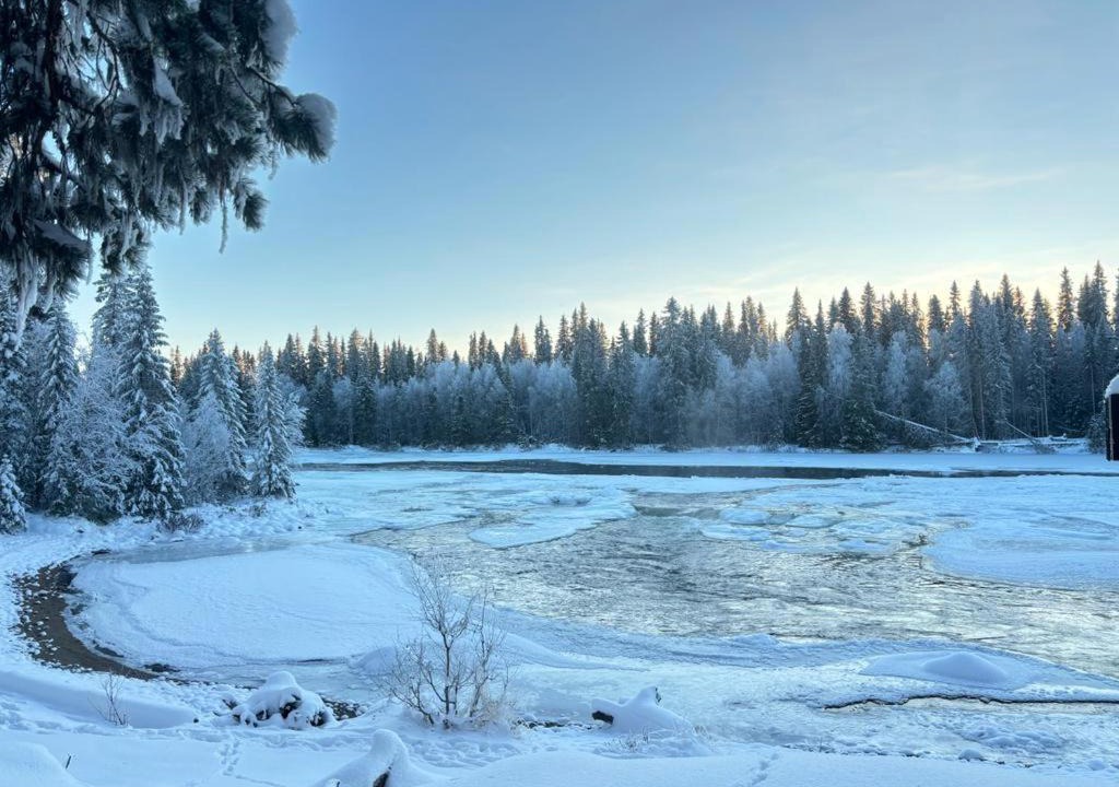 Photo of Others in Blattnicksele