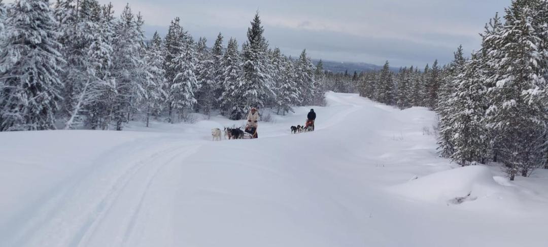 Photo of Others in Blattnicksele