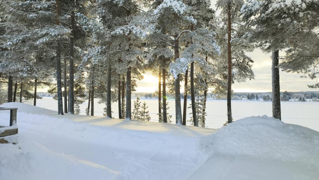 Photo of Others in Blattnicksele