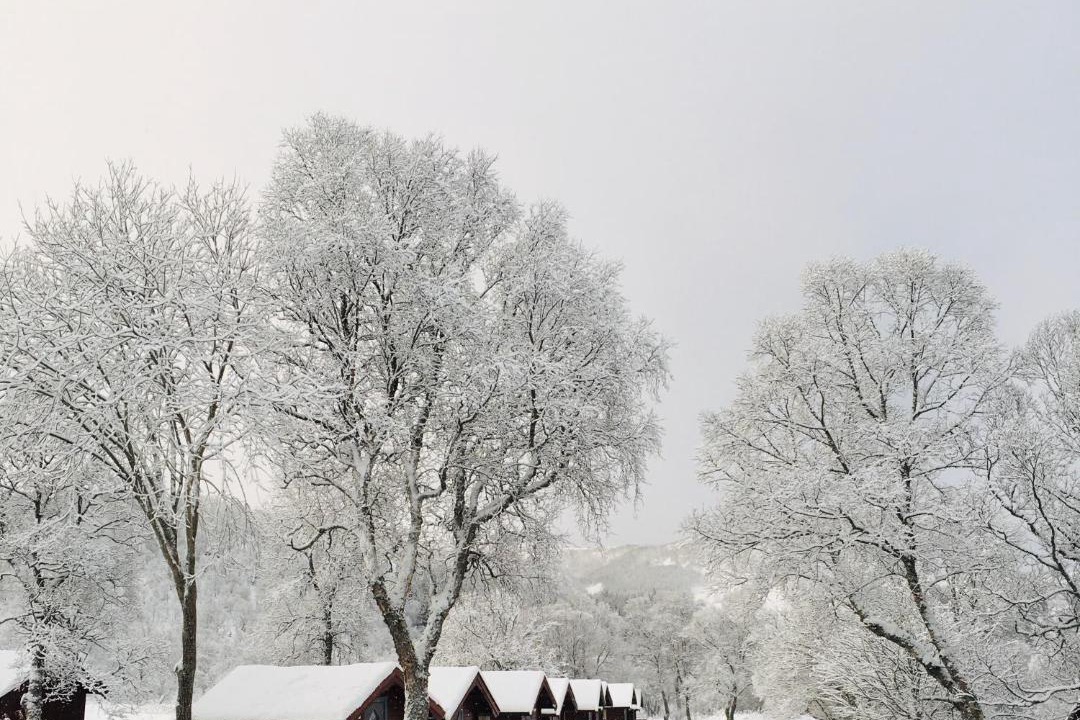 Photo of Others in Sortland