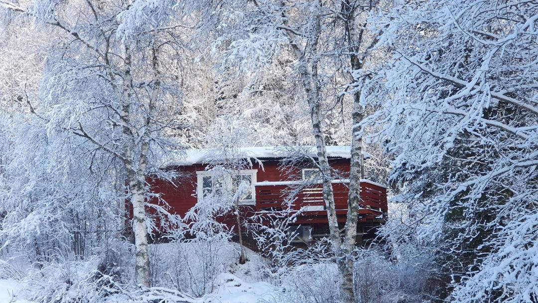 Photo of Others in Holjes