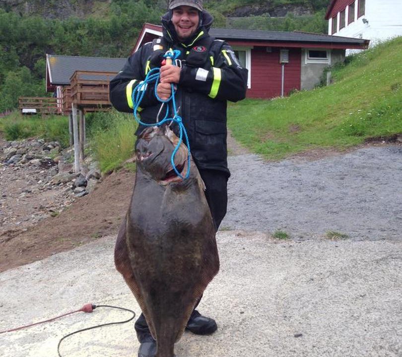 Photo of Others in Grovfjord