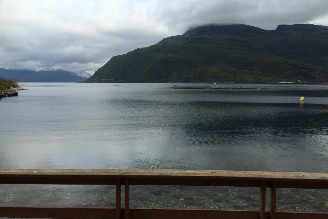 Photo of Others in Grovfjord