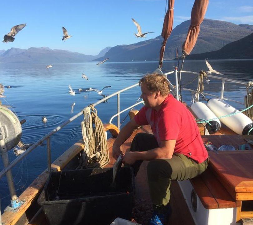 Photo of Others in Grovfjord