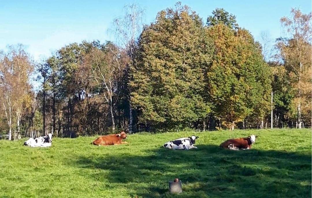 Photo of Others in Tjornarp