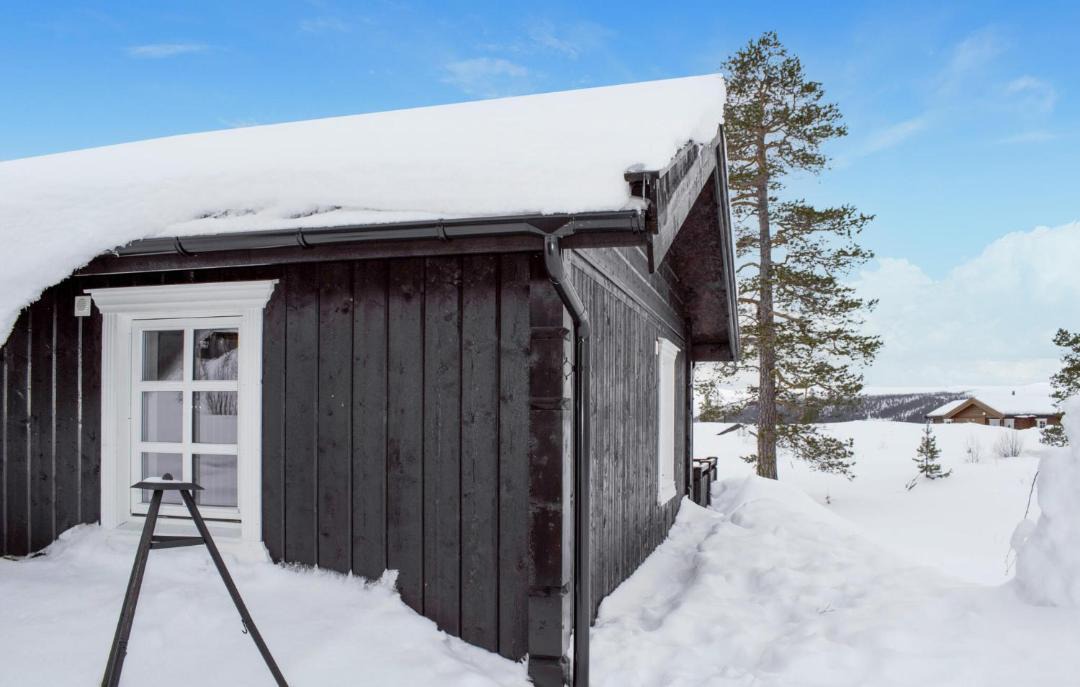 Photo of Others in Engerdal