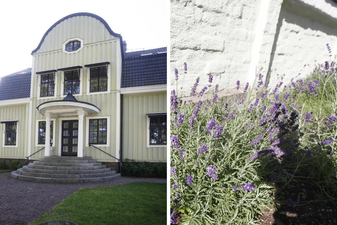 Photo of Others in Gavle