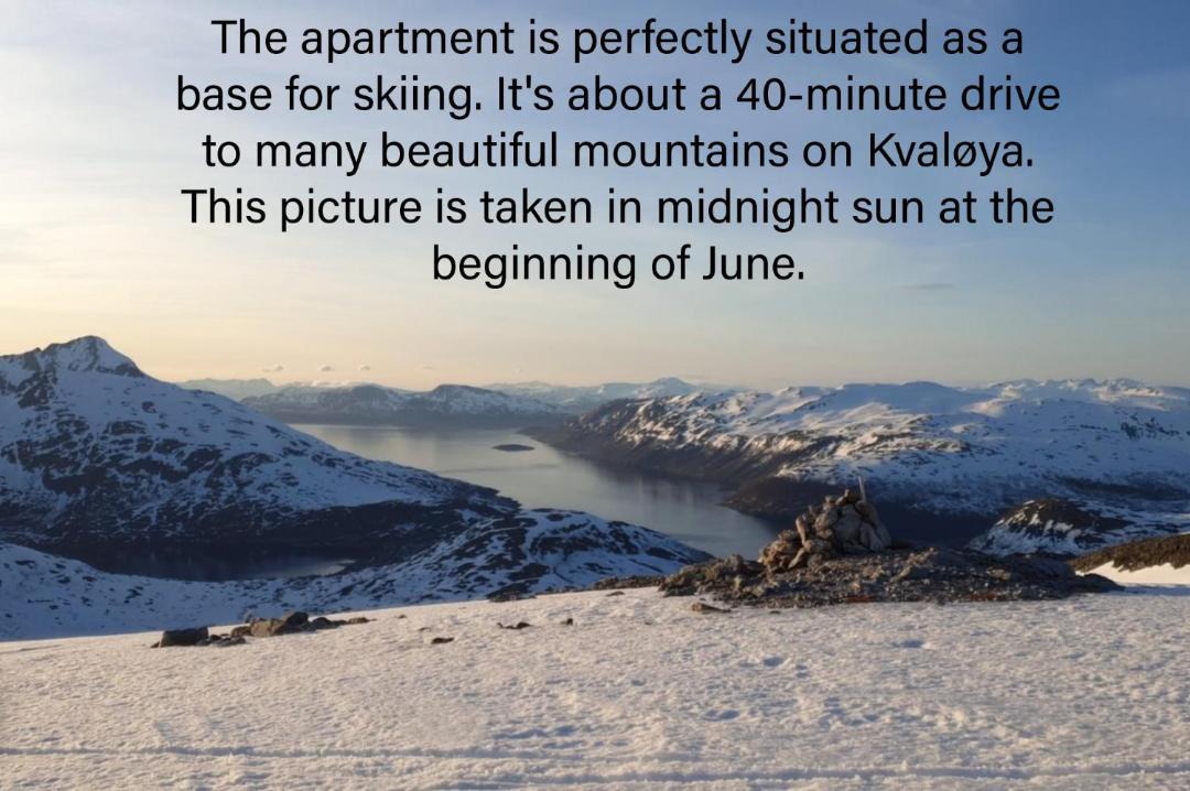 Photo of Others in Tromsdalen