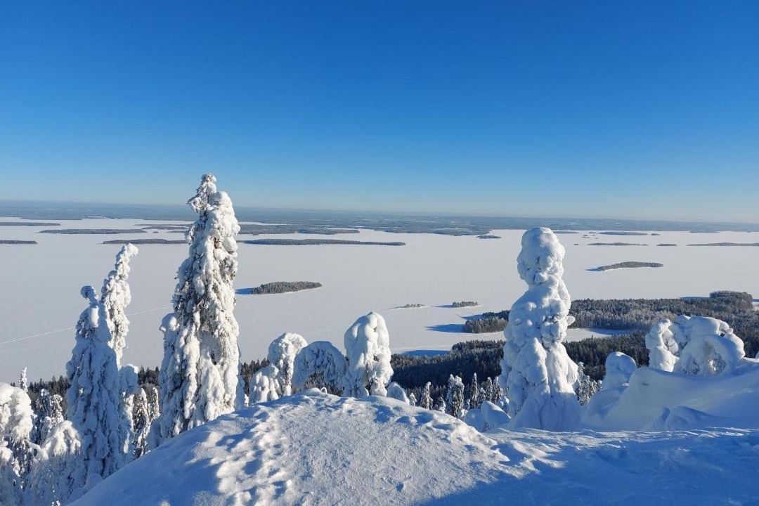 Photo of Others in Koli National Park