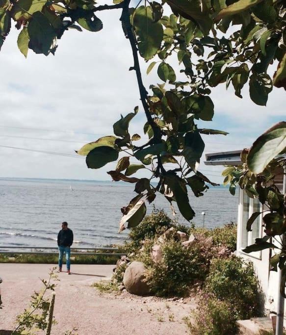 Photo of Others in Angelholm