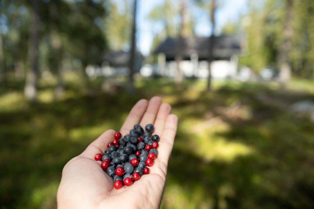 Photo of Others in Uusikaupunki