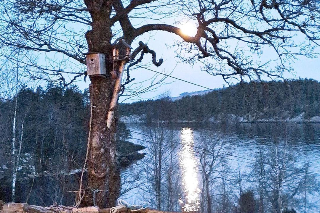 Photo of Others in Masfjorden