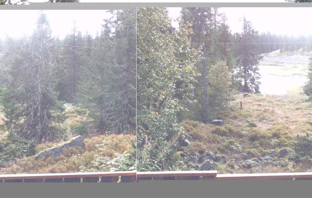 Photo of Others in Sjusjoen