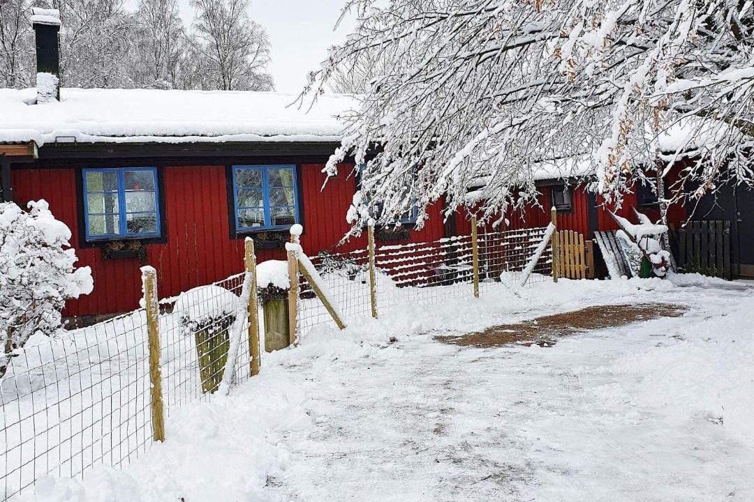Photo of Others in Laholm