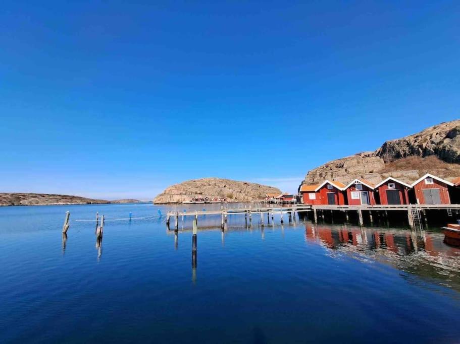 Photo of Others in Hamburgsund
