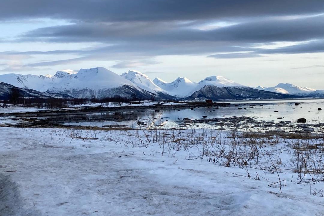 Photo of Others in Tromso