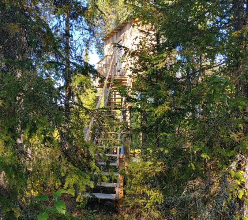 Photo of Others in Arvidsjaur
