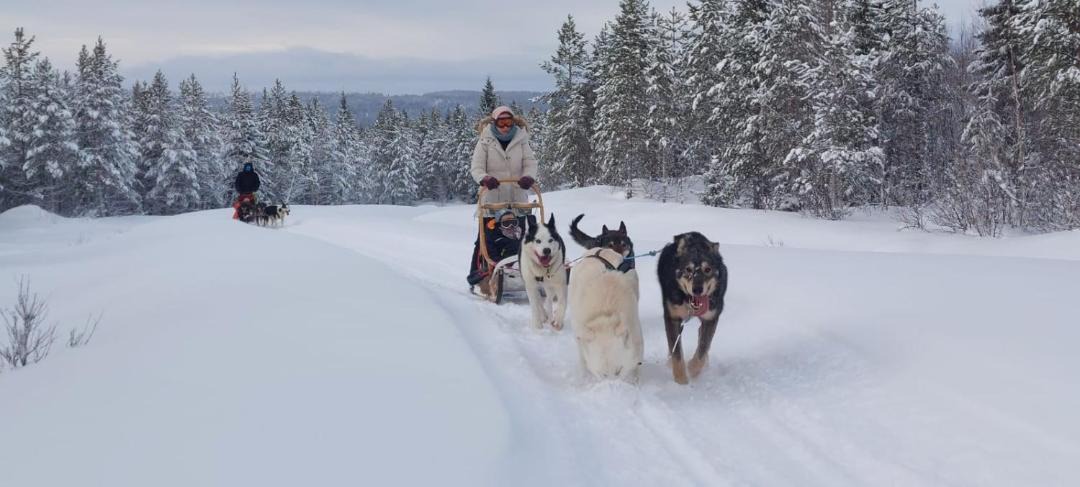 Photo of Others in Blattnicksele