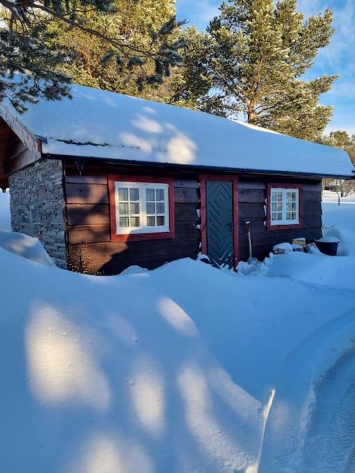 Photo of Others in Dovre