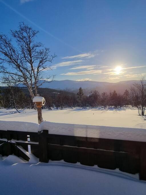 Photo of Others in Dovre