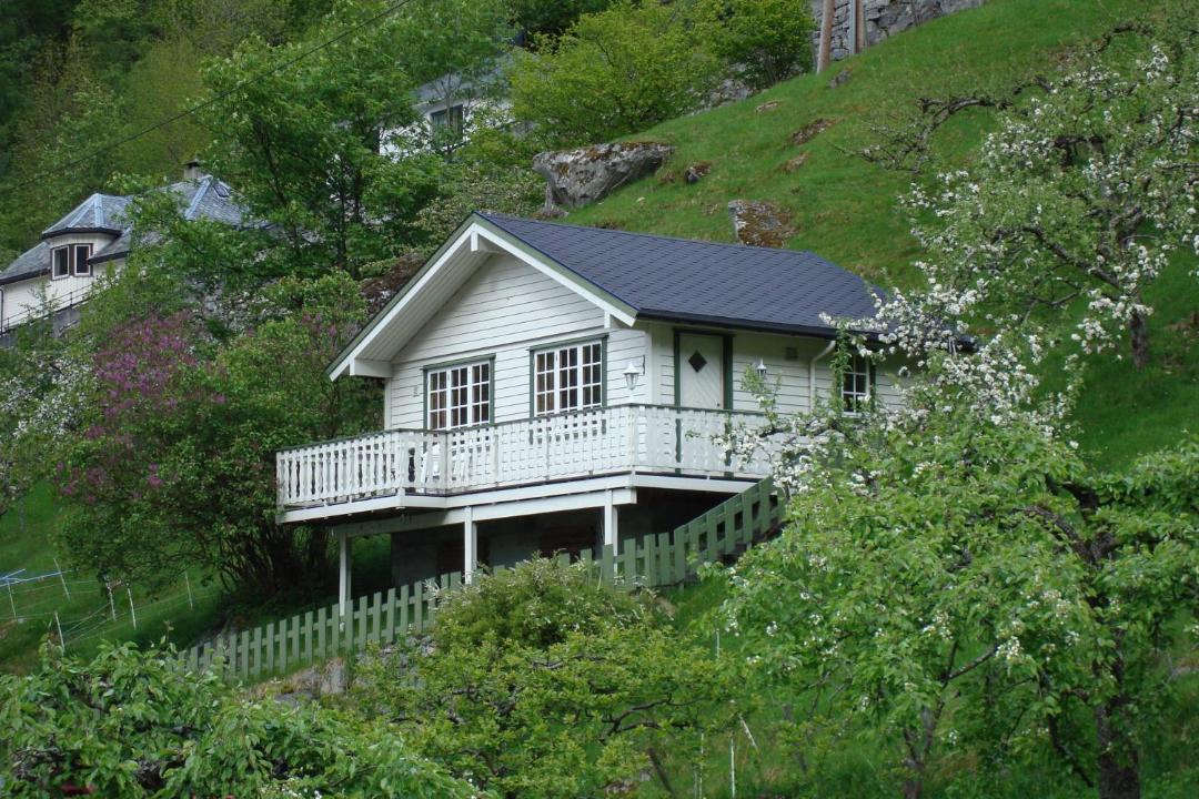 Photo of Others in Geiranger