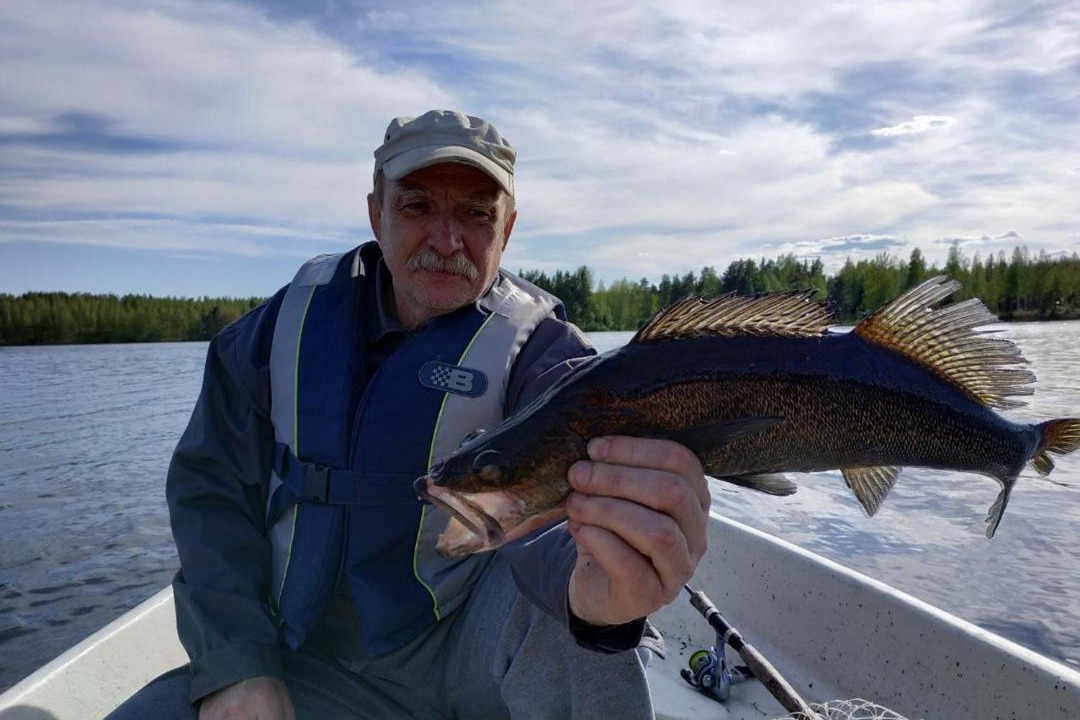 Photo of Others in Aanekoski