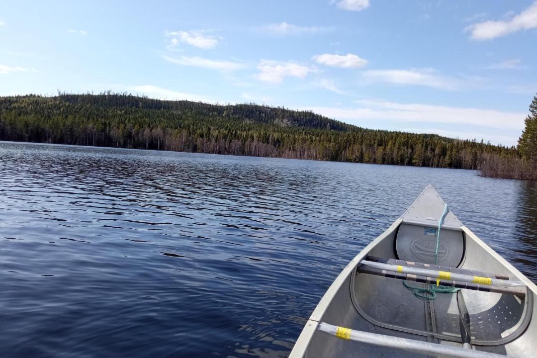 Photo of Others in Stromsund