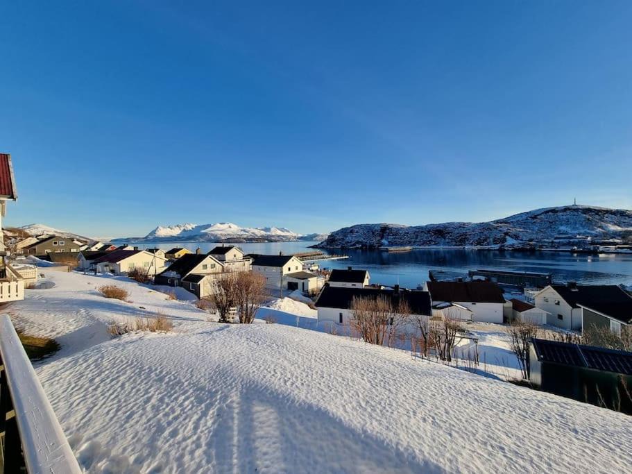 Photo of Others in Skjervoy