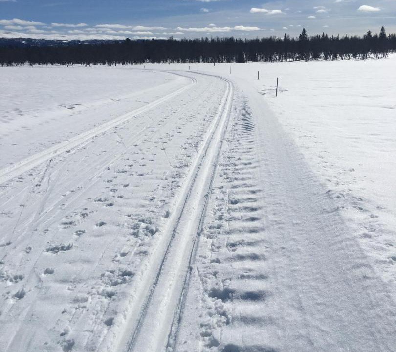 Photo of Others in Golsfjellet