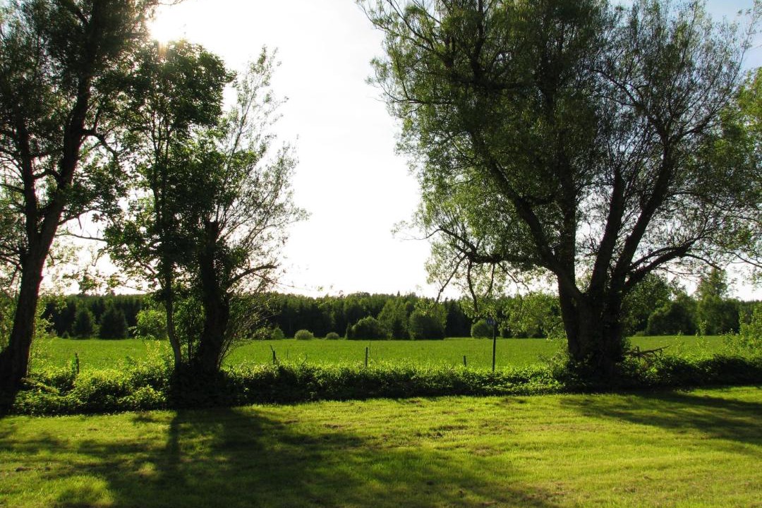 Photo of Others in Ljungby