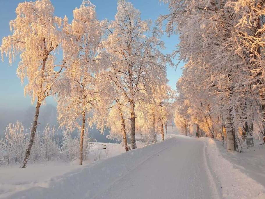 Photo of Others in Arjeplog