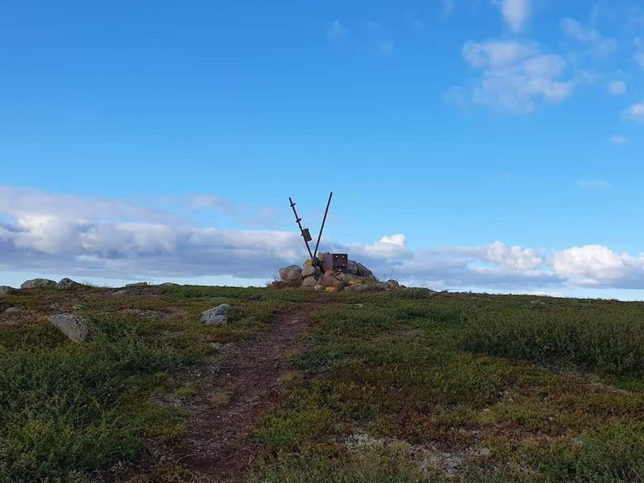 Photo of Others in Arjeplog