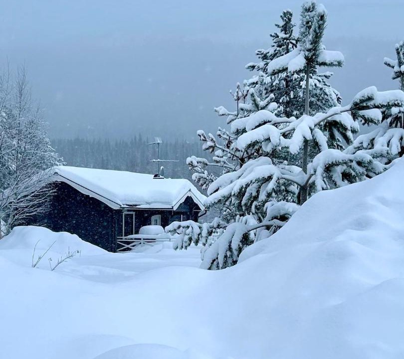Photo of Others in Stoten