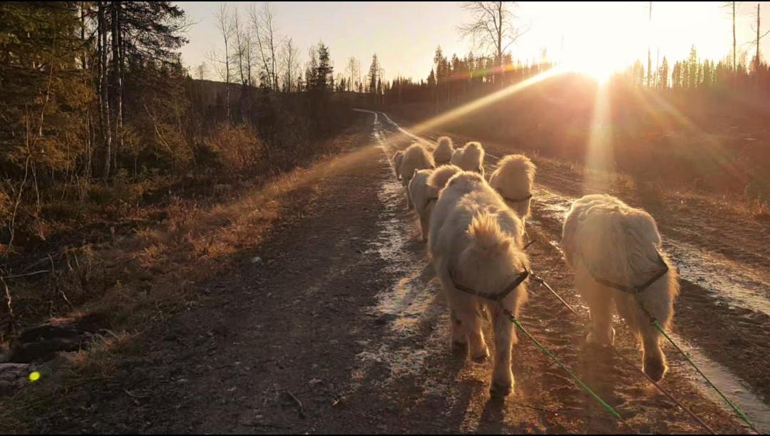 Photo of Others in Overtornea Municipality