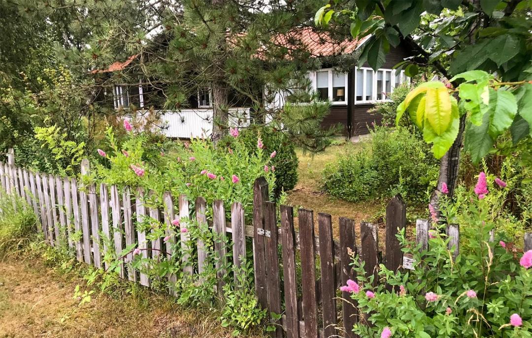 Photo of Others in Beddingestrand