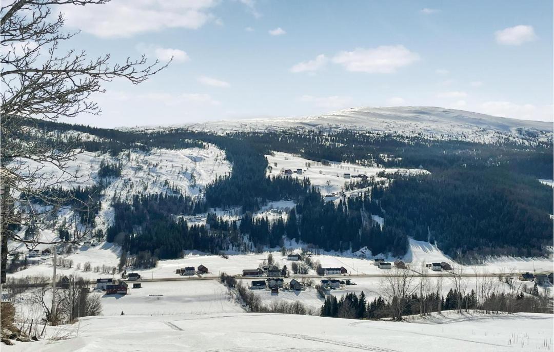 Photo of Others in Holtalen
