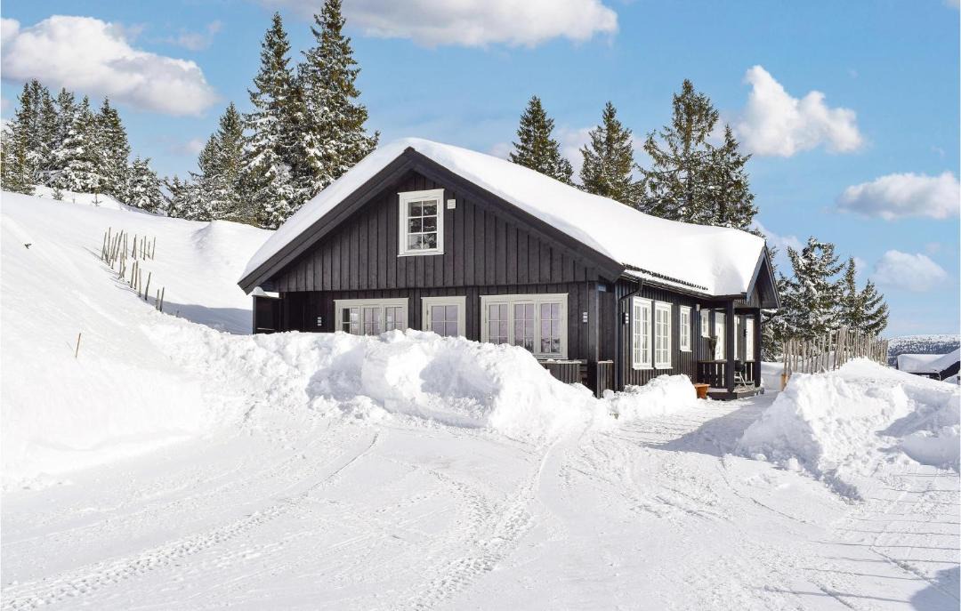 Photo of Others in Sjusjoen