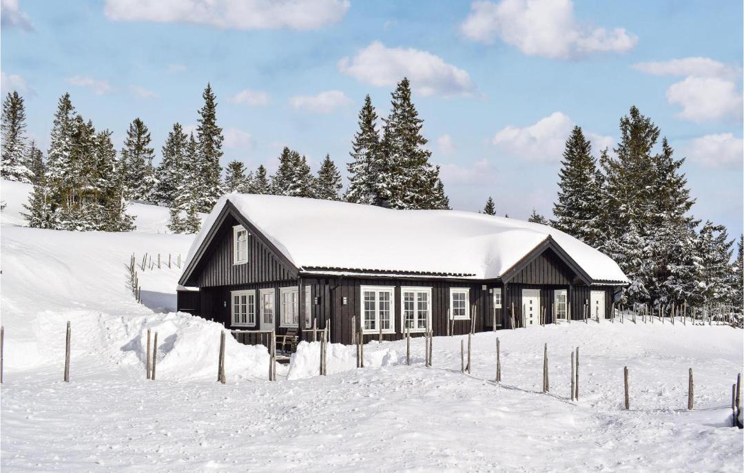 Photo of Others in Sjusjoen