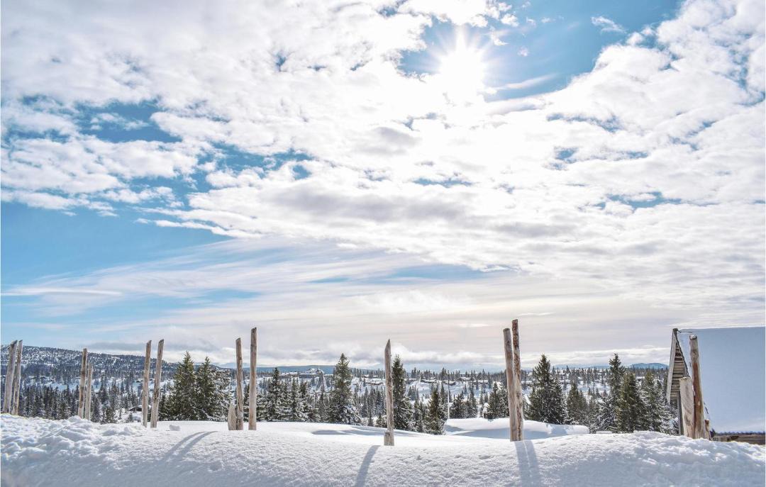 Photo of Others in Sjusjoen
