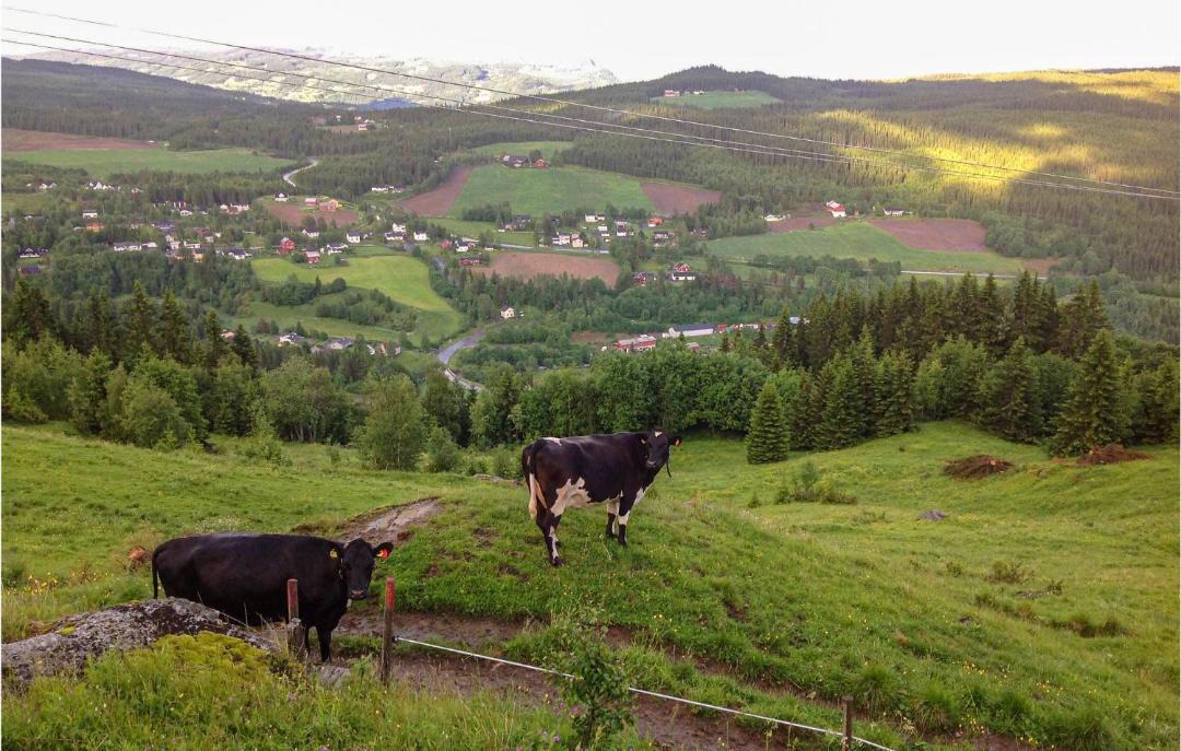 Photo of Others in Tretten