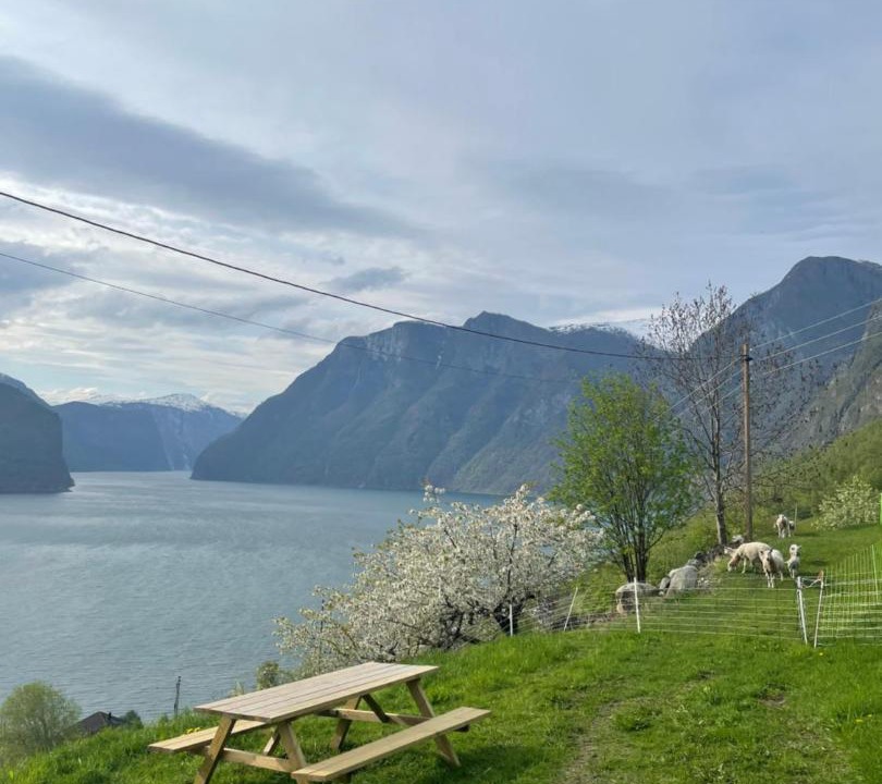Photo of Others in Aurland