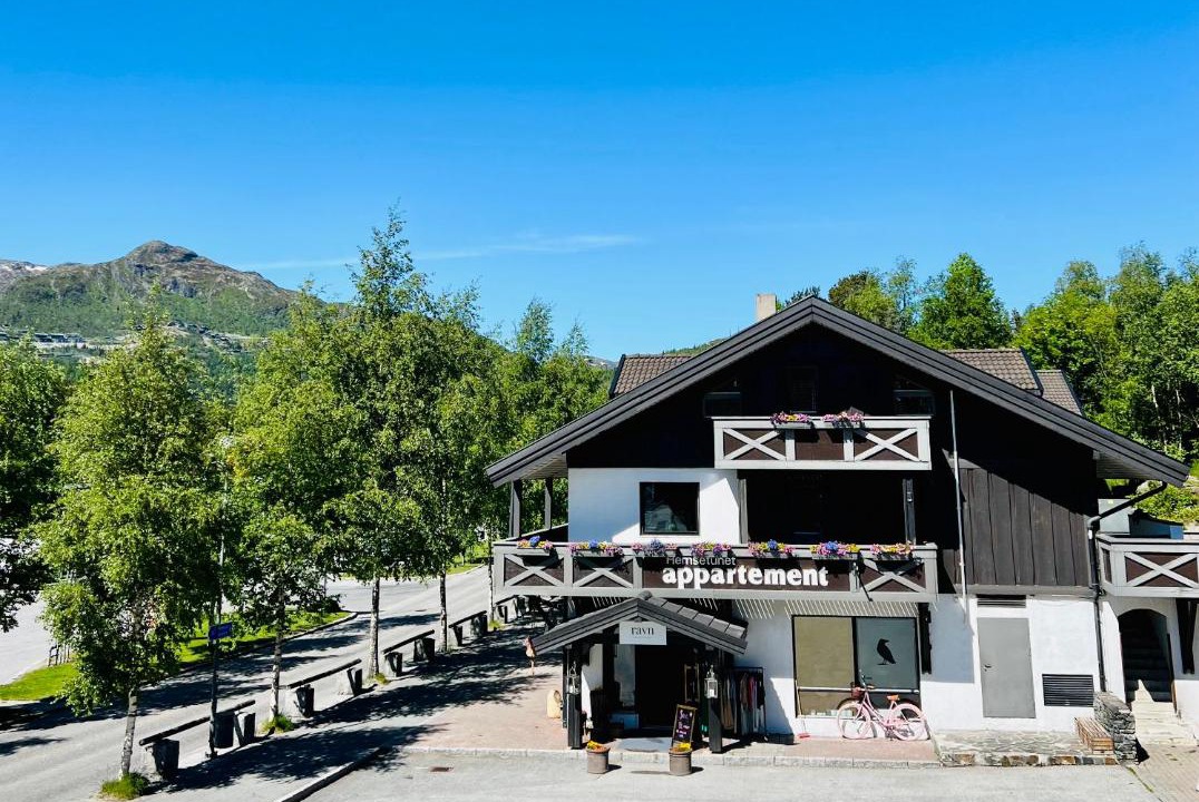 Photo of Others in Hemsedal