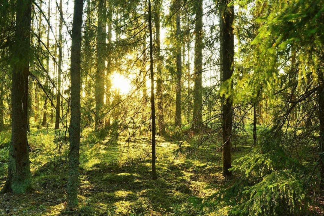 Photo of Outdoor in Bredared