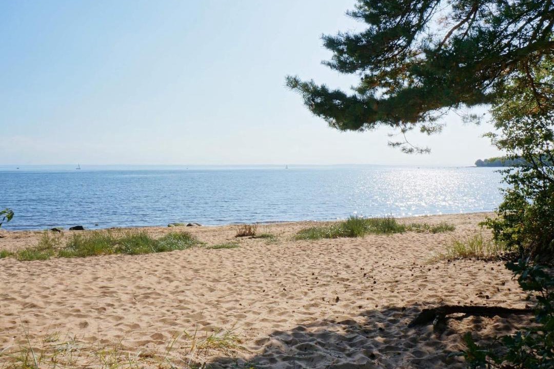 Photo of Others in Halmstad