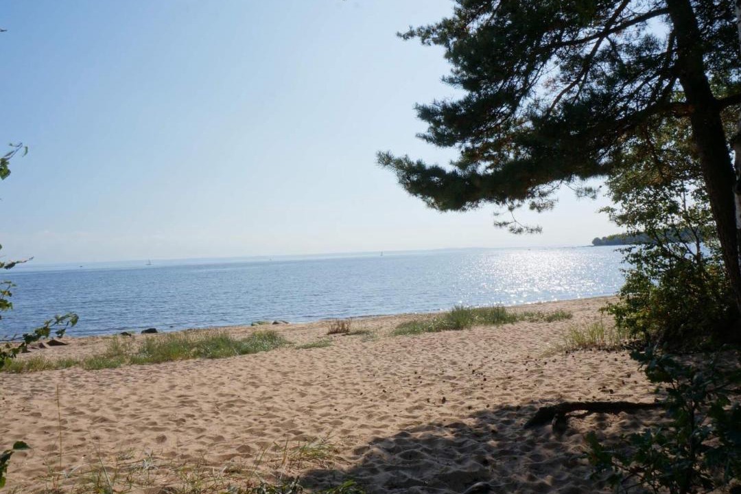 Photo of Others in Halmstad