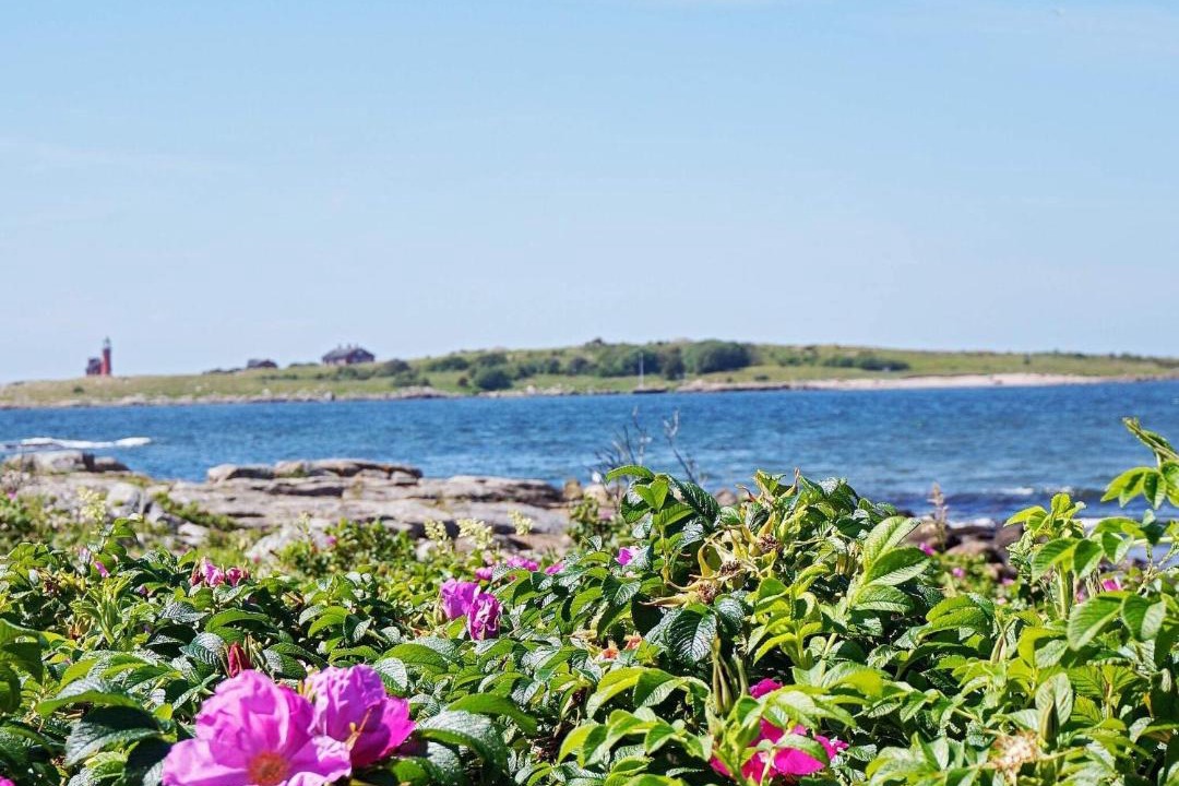 Photo of Outdoor in Halmstad